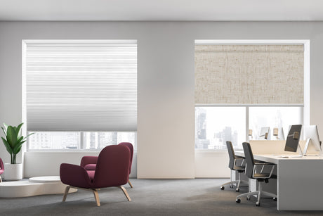 Comparison of smart cellular shade and smart roller shade installed side by side, showing differences in texture, light control, and style.