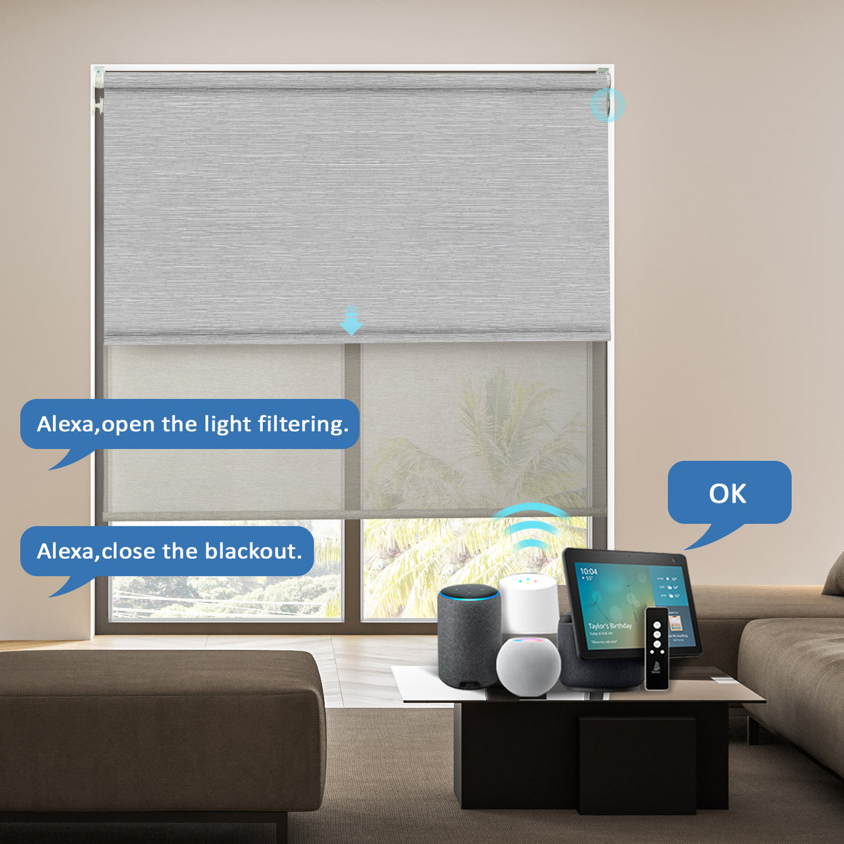 Smart Motorized Dual Shades – Light Filtering & Blackout