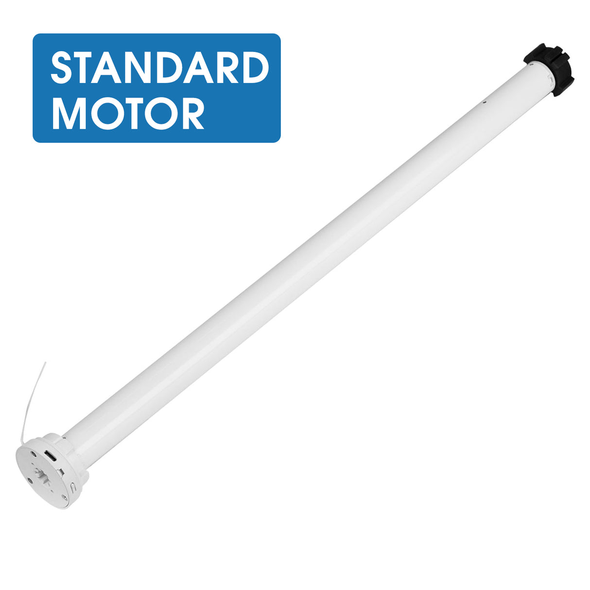Standard Motor