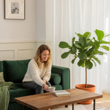 Motorized Sheer Drapery Curtains – Smart Light Control with Elegant Softness