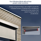 Solar Panel